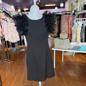 Elegant Black Ruffle Sleeve Dress